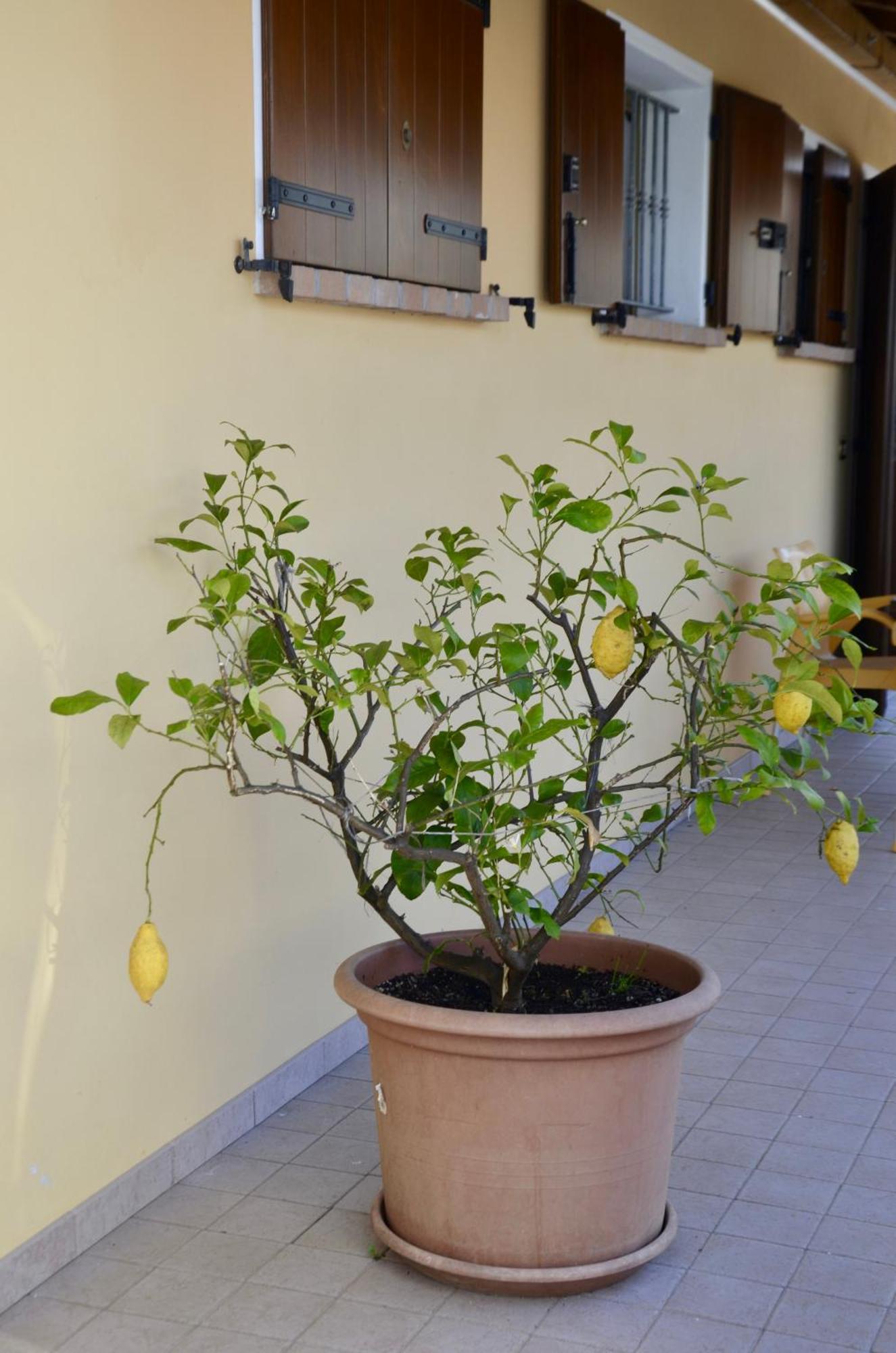 VidorA Casa Di Amici别墅 外观 照片